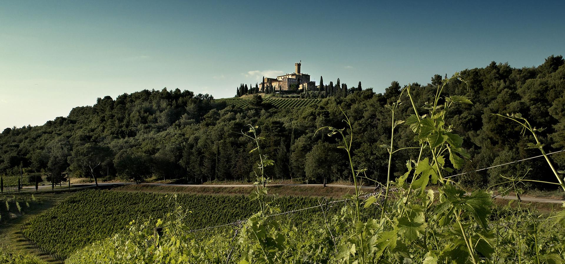 Banfi