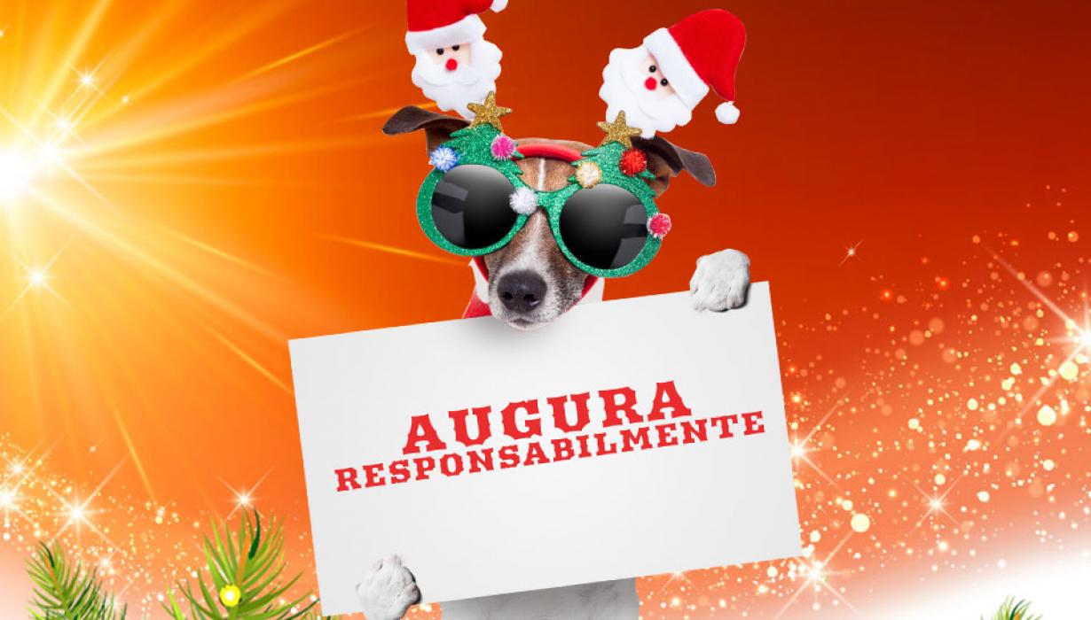 BUONE FESTE
