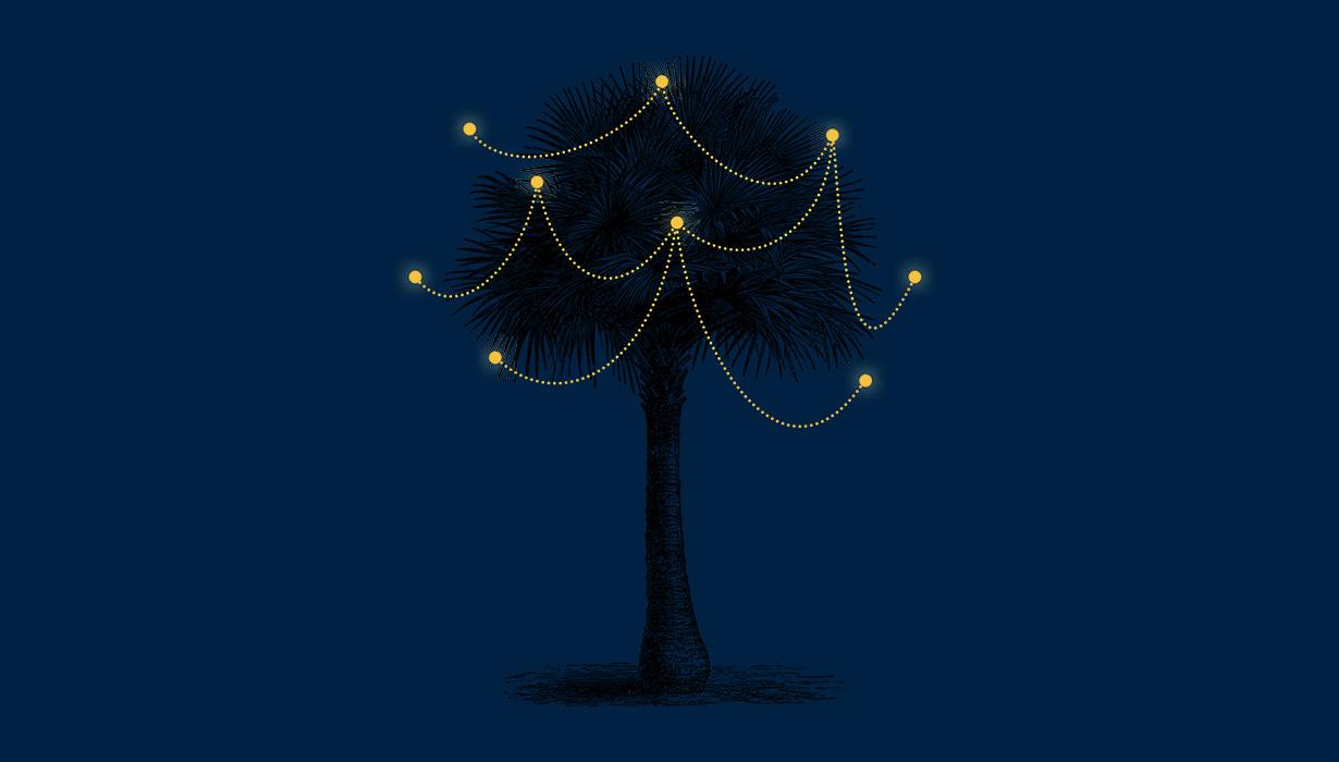 img-immedia-albero.jpg