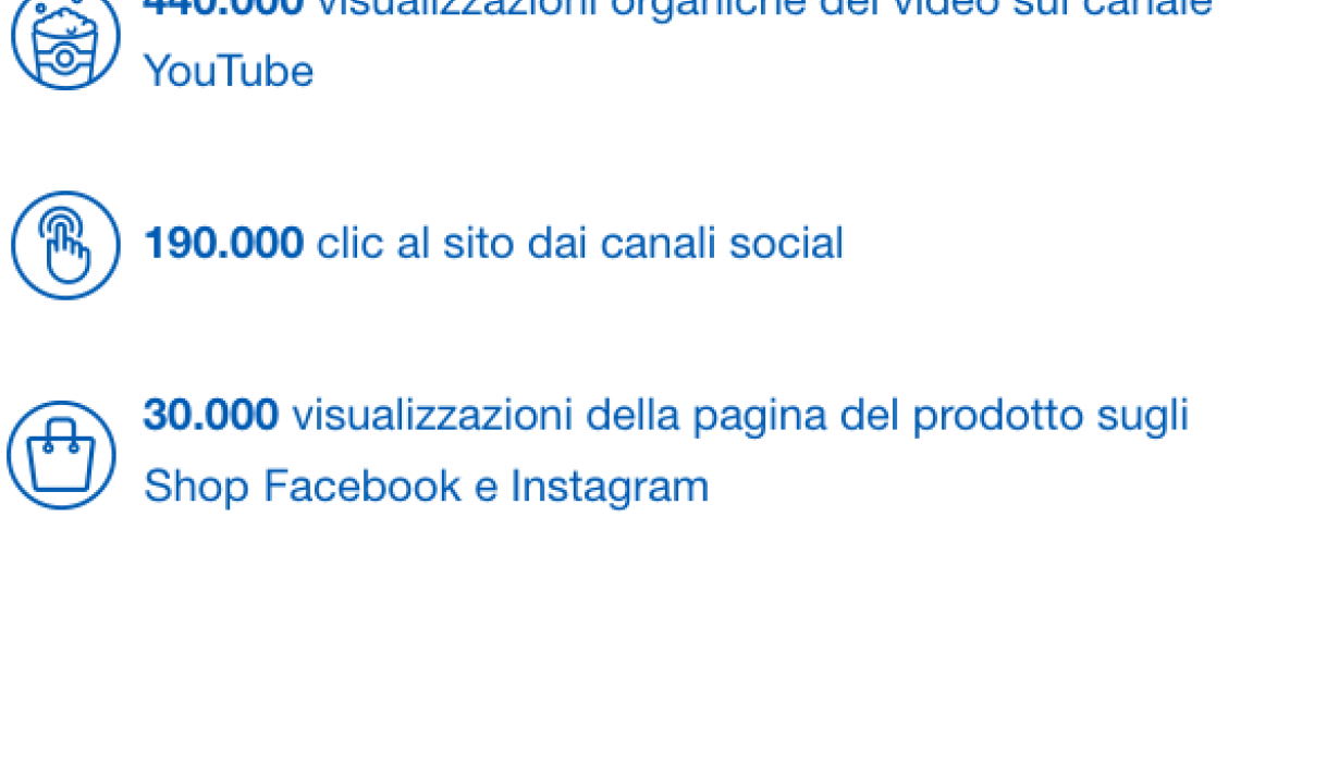 kpi-vileda-italia