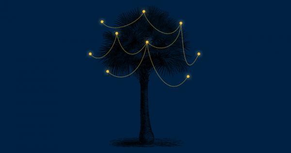 img-immedia-albero.jpg